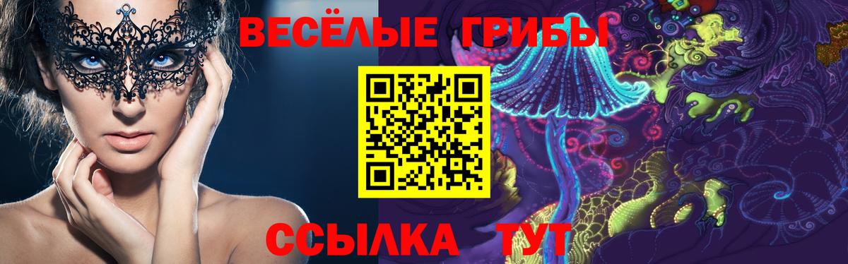 Галлюциногенные грибы Psilocybe Железногорск